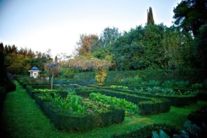 gardenvilla Appia Antica